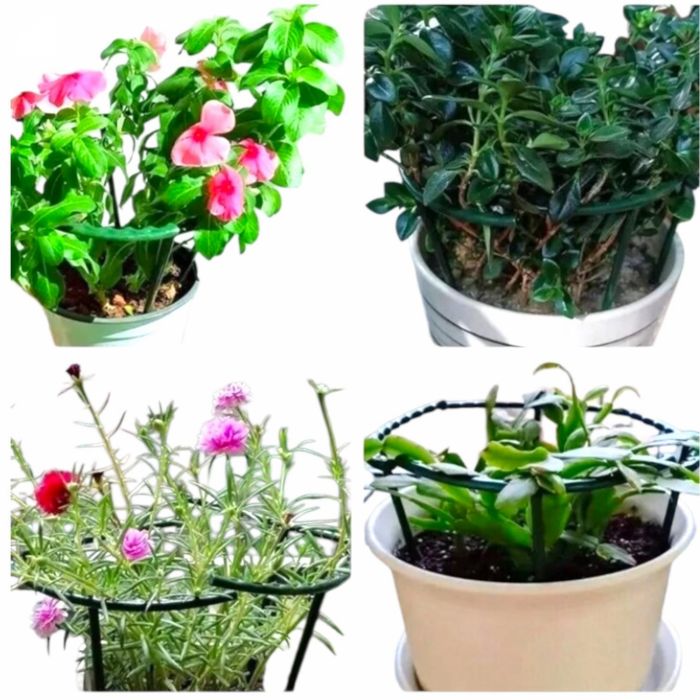 Foarfecă mică albă Suporturi semicirculare din plastic pentru plante în ghiveci